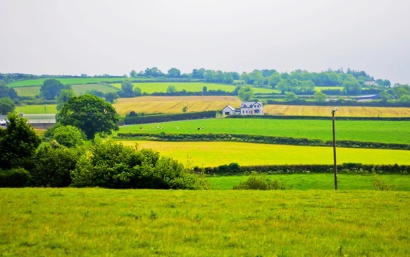 爱尔兰风俗礼仪